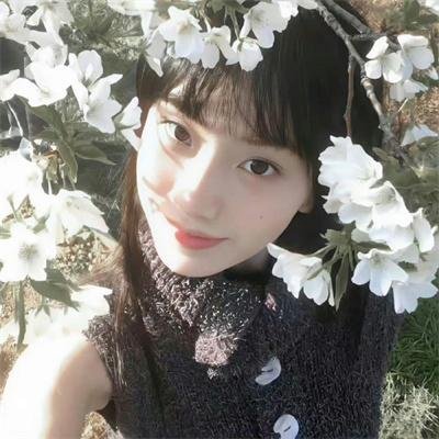 我的街区第二季